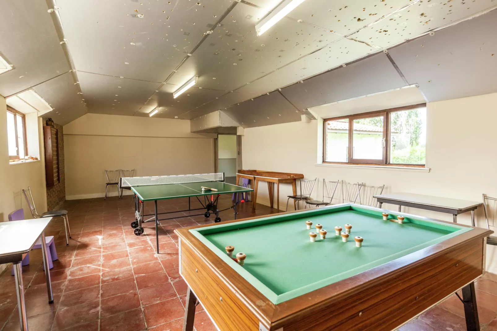 De Snoeibijl-Recreation room