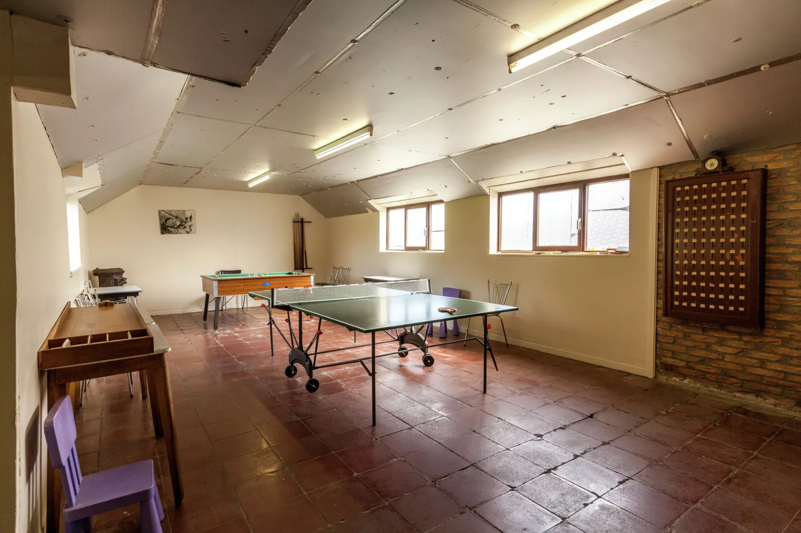De Snoeibijl-Recreation room