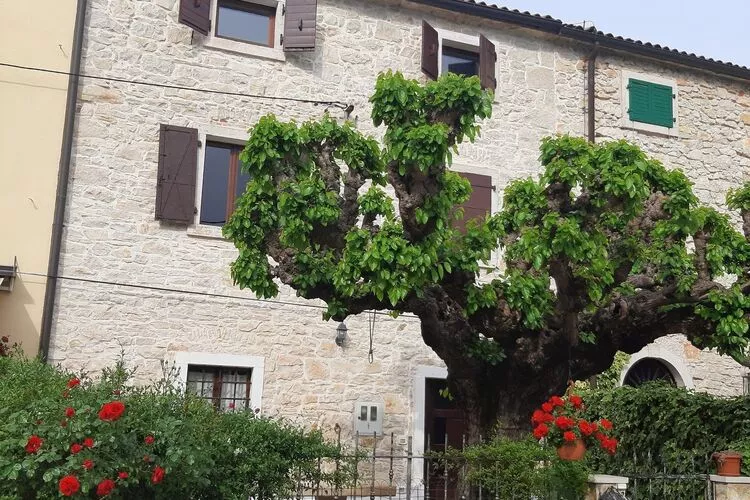 Casa Girasole - Three Bedroom Holiday Home with Garden-Extérieur