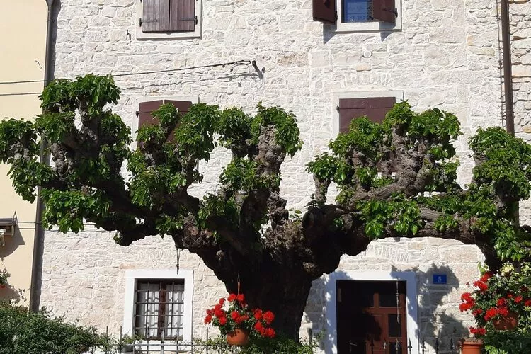 Casa Girasole - Three Bedroom Holiday Home with Garden-Extérieur
