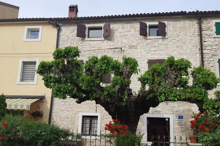 Casa Girasole - Three Bedroom Holiday Home with Garden-Extérieur
