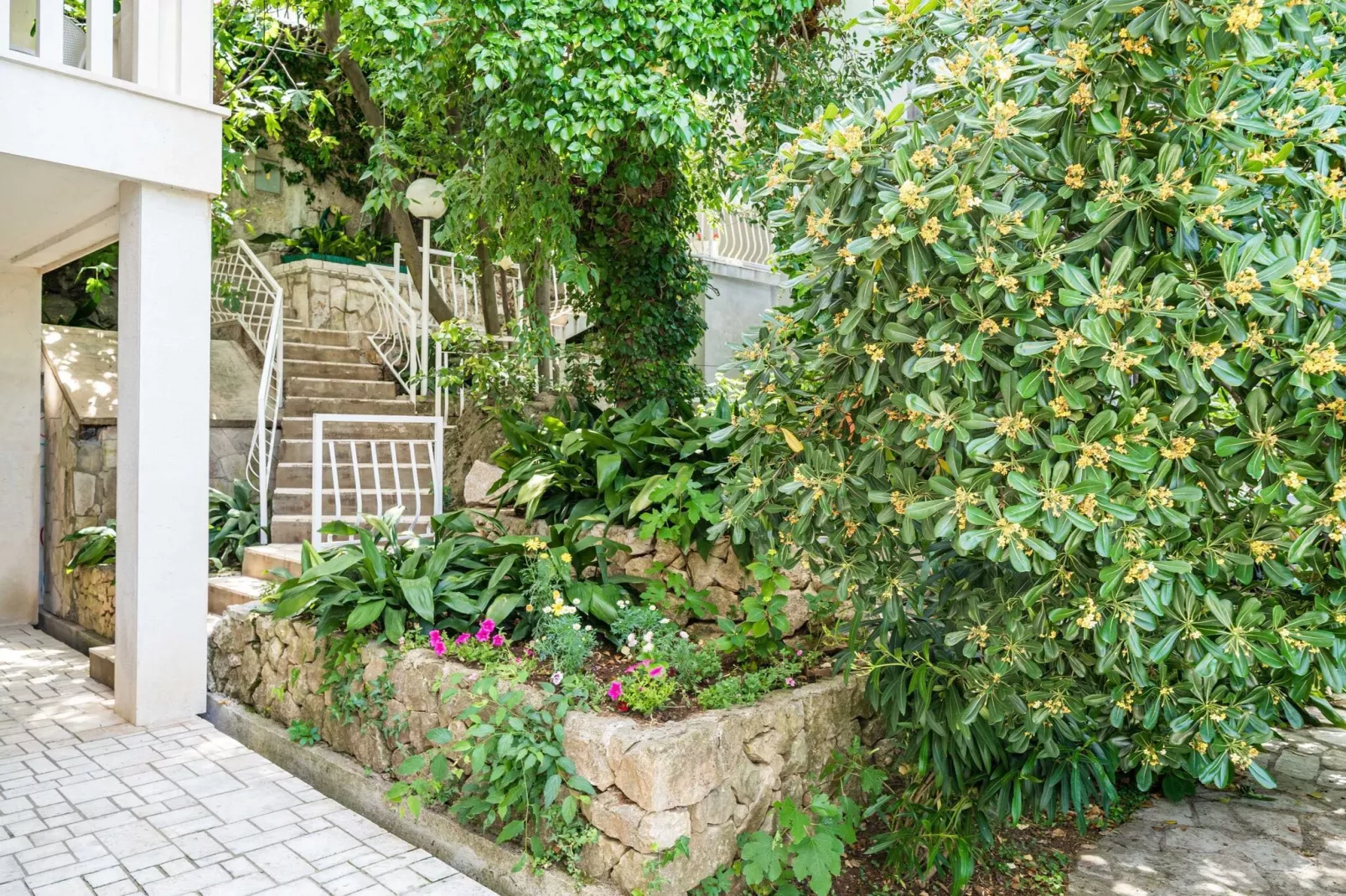 Apartments & Rooms Mara & Petrunjela - Two Bedroom Apartment with Terrace and Sea View (Apartman s 2 spavaće sobe) - BR. 5-Outdoor