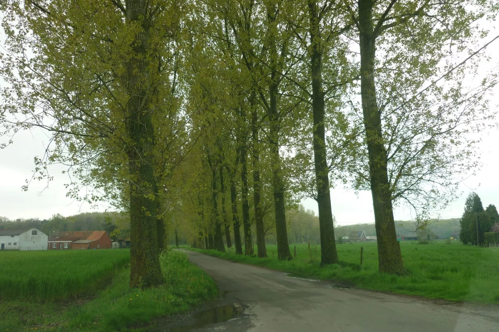 De Snoeibijl-Areas summer 5km