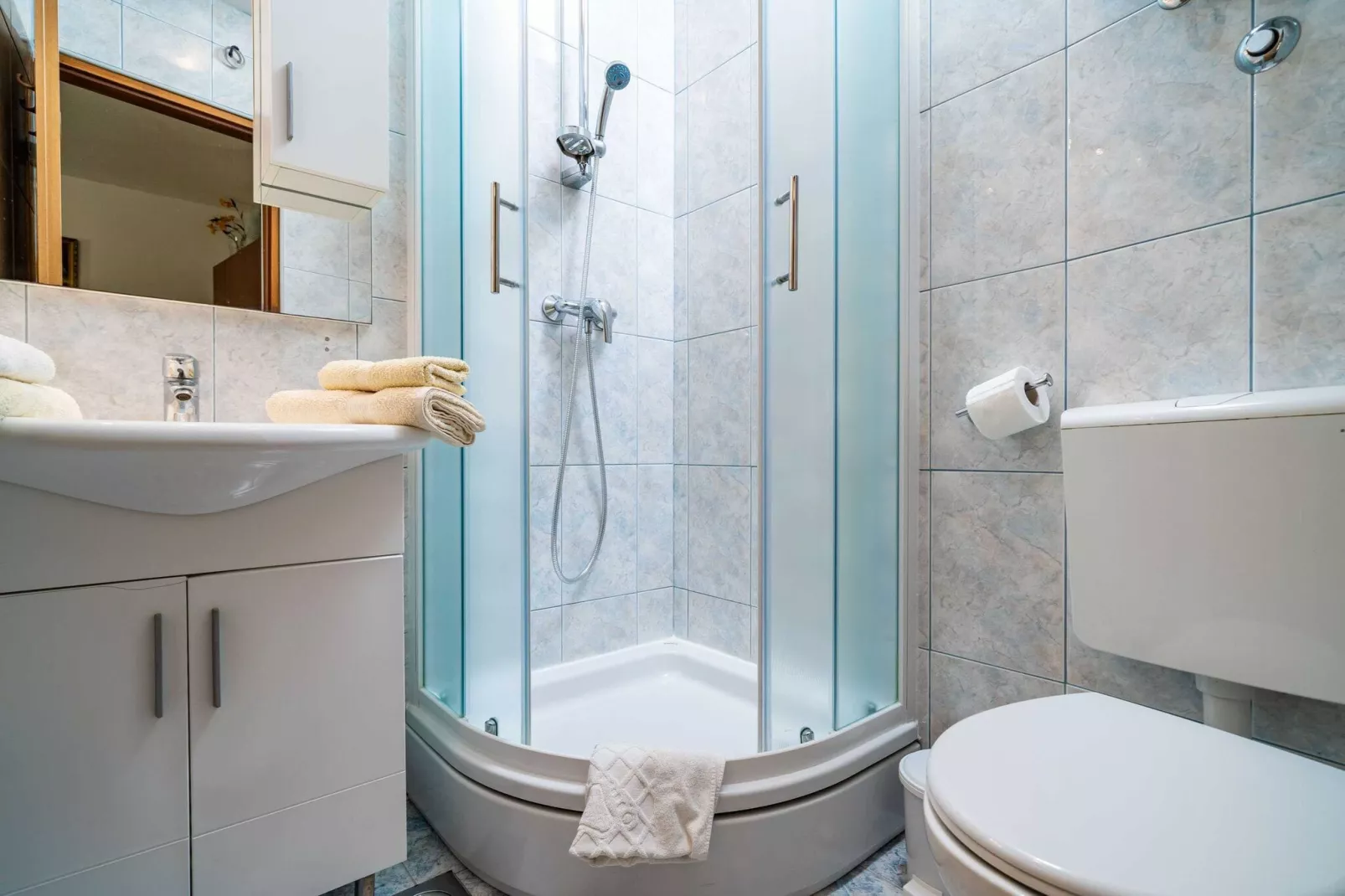 Apartments Zarac - One Bedroom Apartment with Terrace-Bathroom