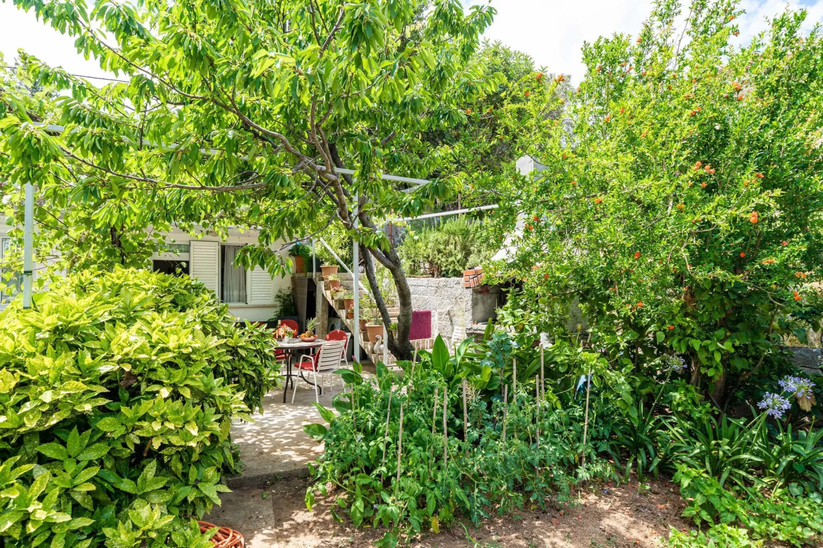 Apartments Zarac - One Bedroom Apartment with Terrace-Gardens summer