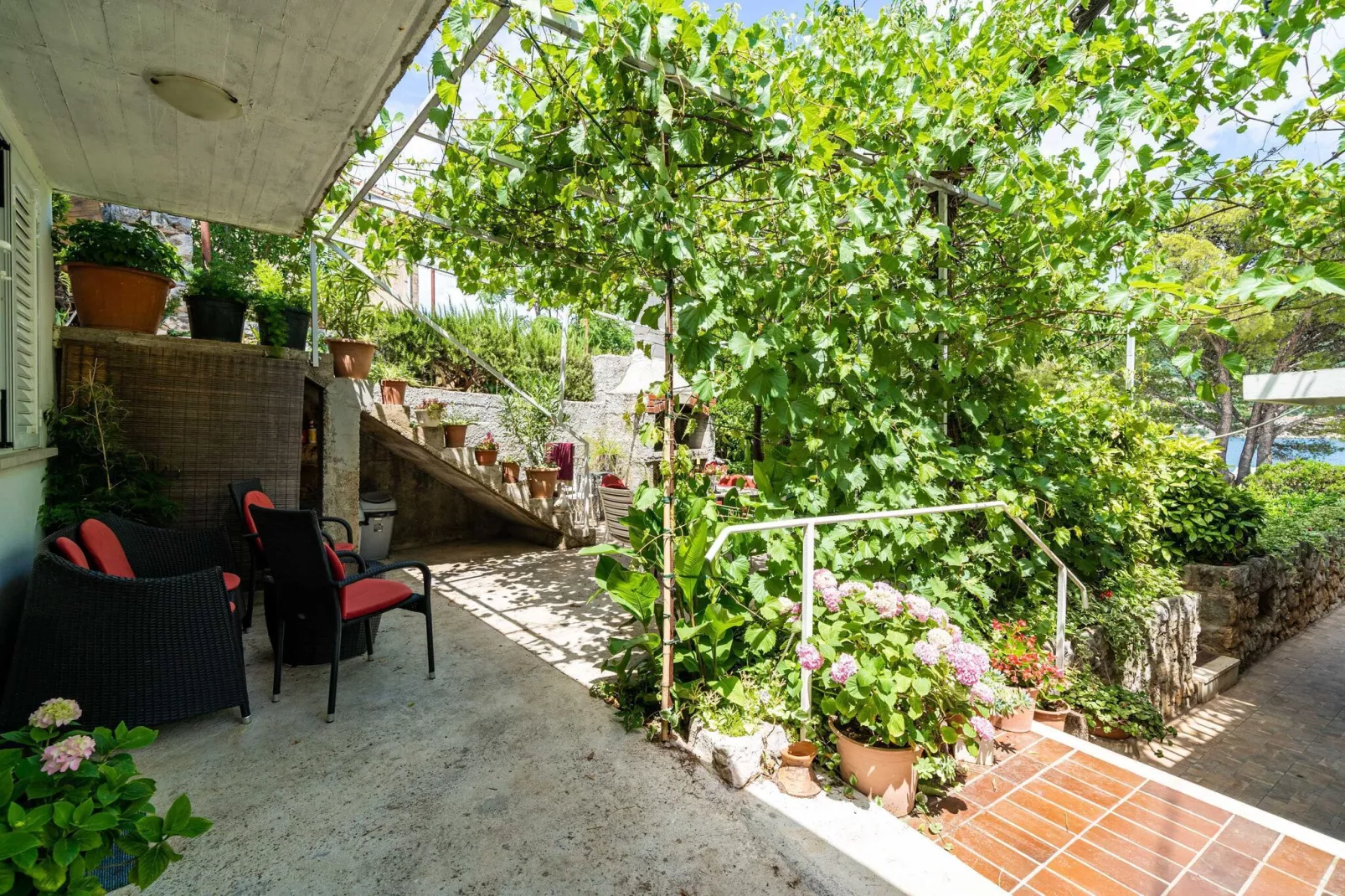 Apartments Zarac - One Bedroom Apartment with Terrace-Terrace