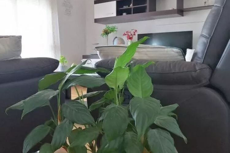 Apartment Spalato - Three Bedroom Apartment with Terrace-Indoor