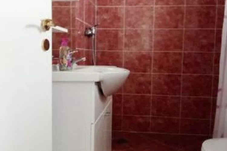 Apartment Mijatovic -  One Bedroom Apartment with Terrace-Bathroom
