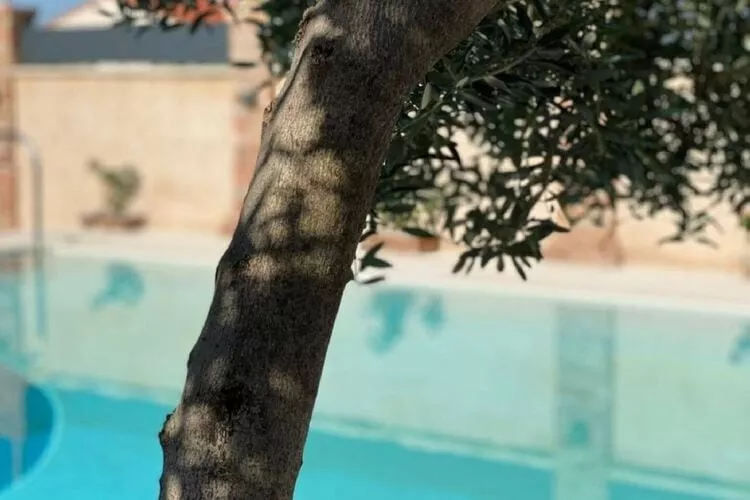 Villa Stalla - Three Bedroom Villa with Swimming Pool-Pool