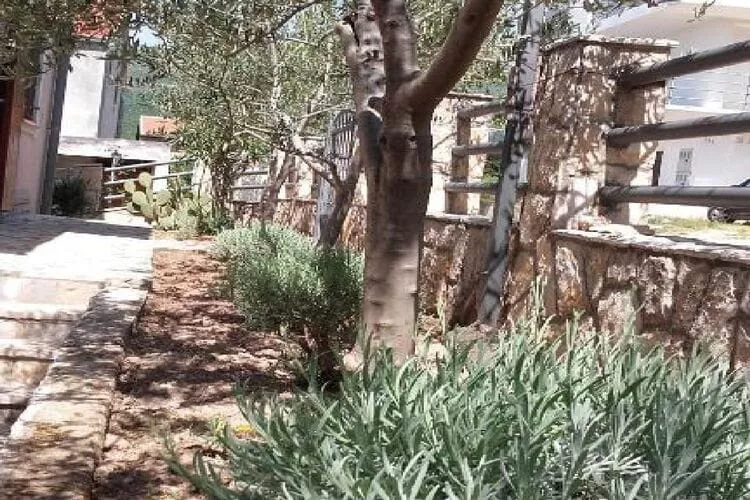 Apartments Smilje i Maslina - One Bedroom Apartment with Terrace (SIM 2)-Gardens summer
