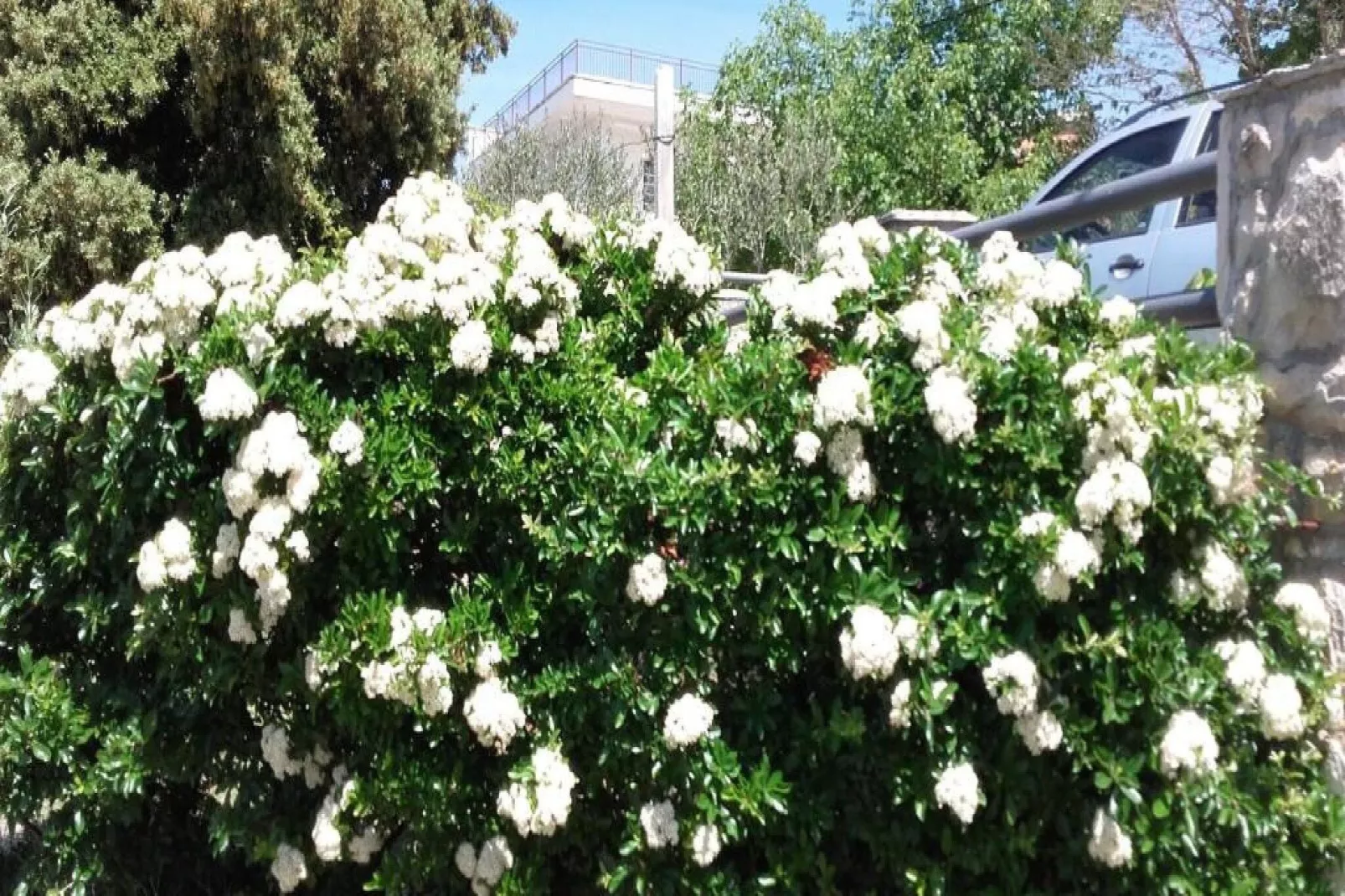 Apartments Smilje i Maslina - One Bedroom Apartment with Terrace (SIM 2)-Gardens summer