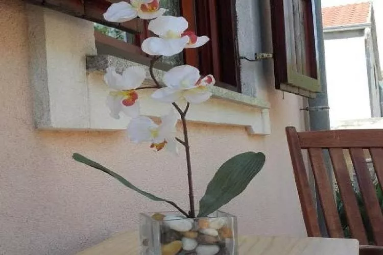 Apartments Smilje i Maslina - One Bedroom Apartment with Terrace (SIM 2)-Terrace