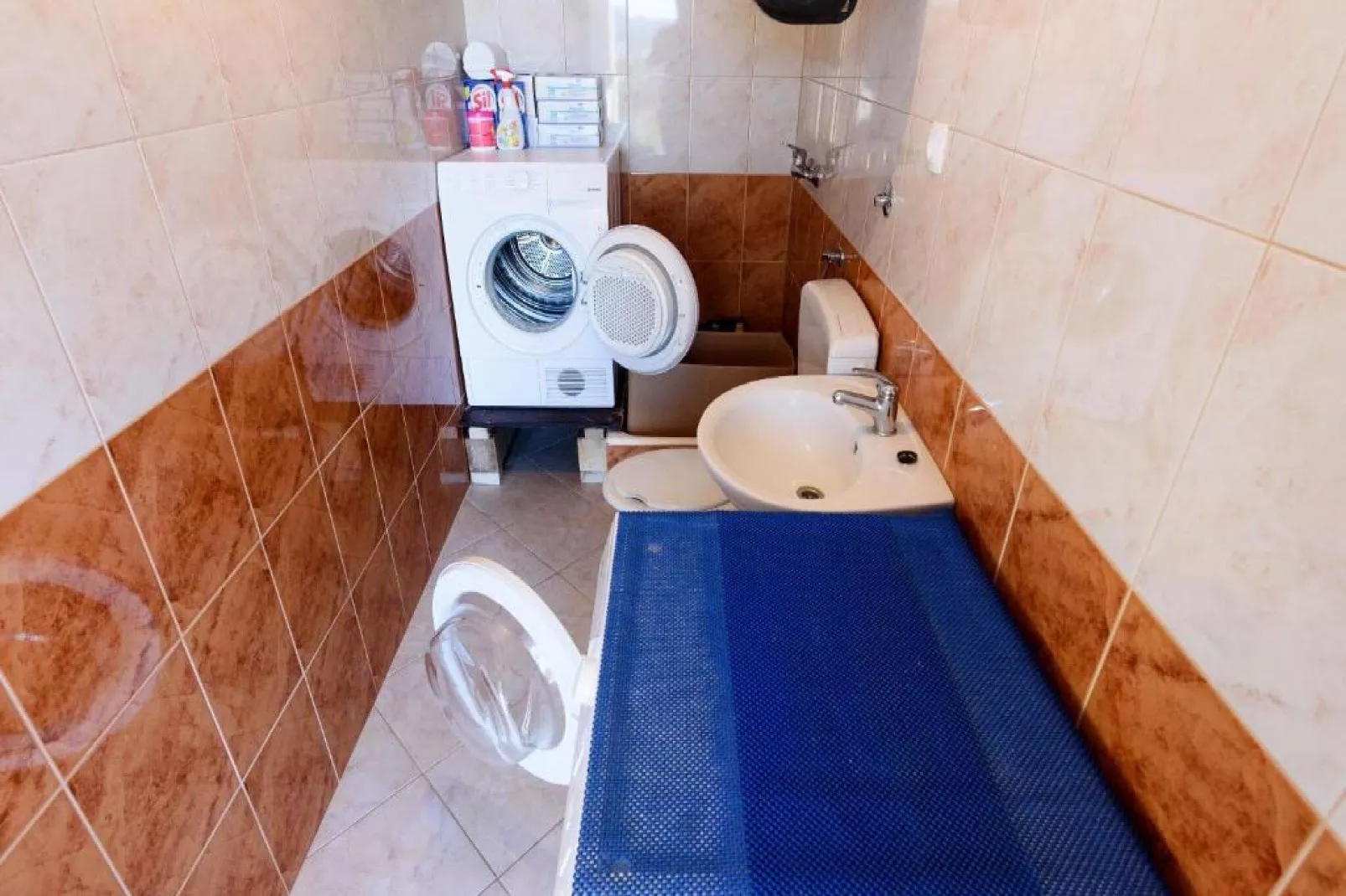 Apartments Milic - One Bedroom Apartment with Sea View and Terrace A-Bathroom