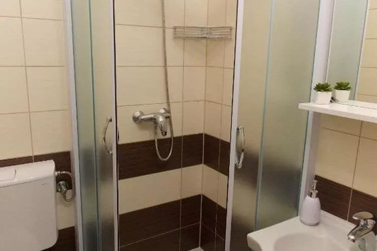 Apartments Bandalo - Standard Studio Apartment A6-Bathroom