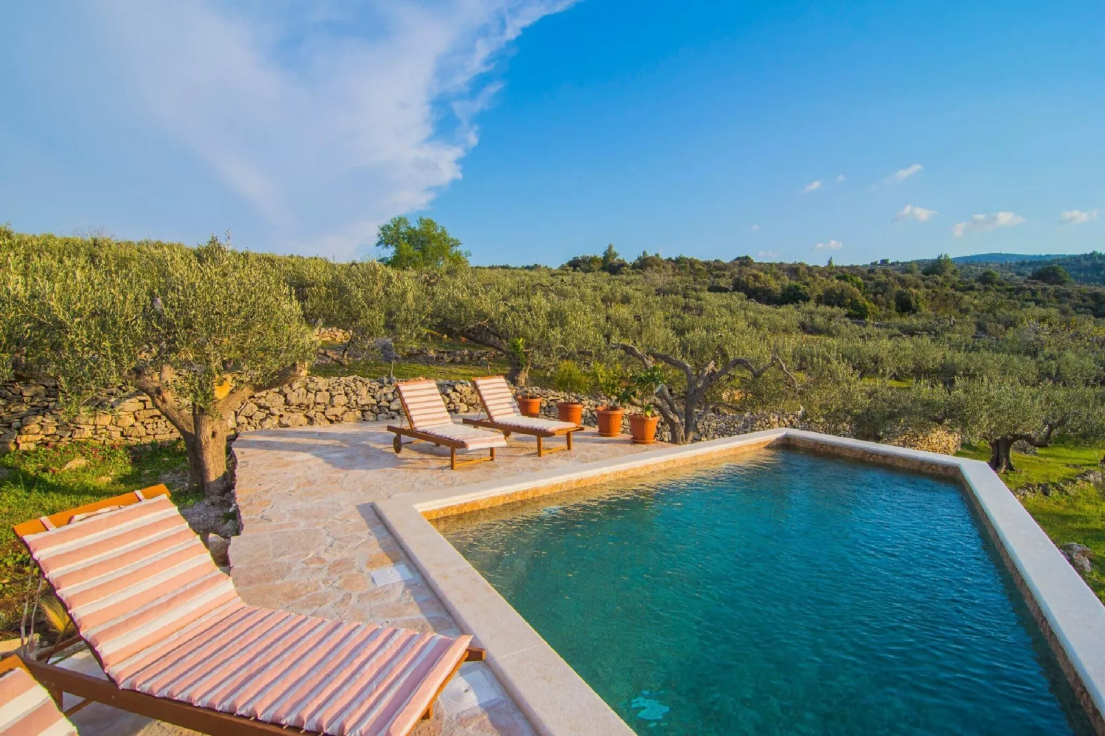 Villa Roza - One Bedroom Villa with Swimming Pool-Pool