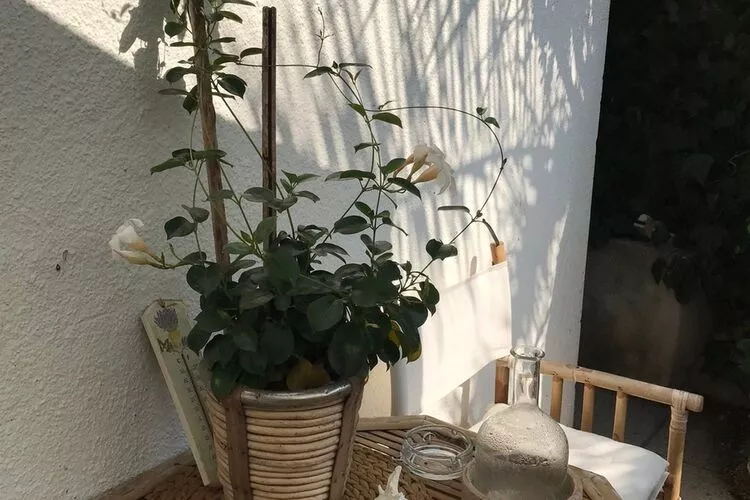 Apartment Oleander - One Bedroom Apartment with Terrace-Outdoor