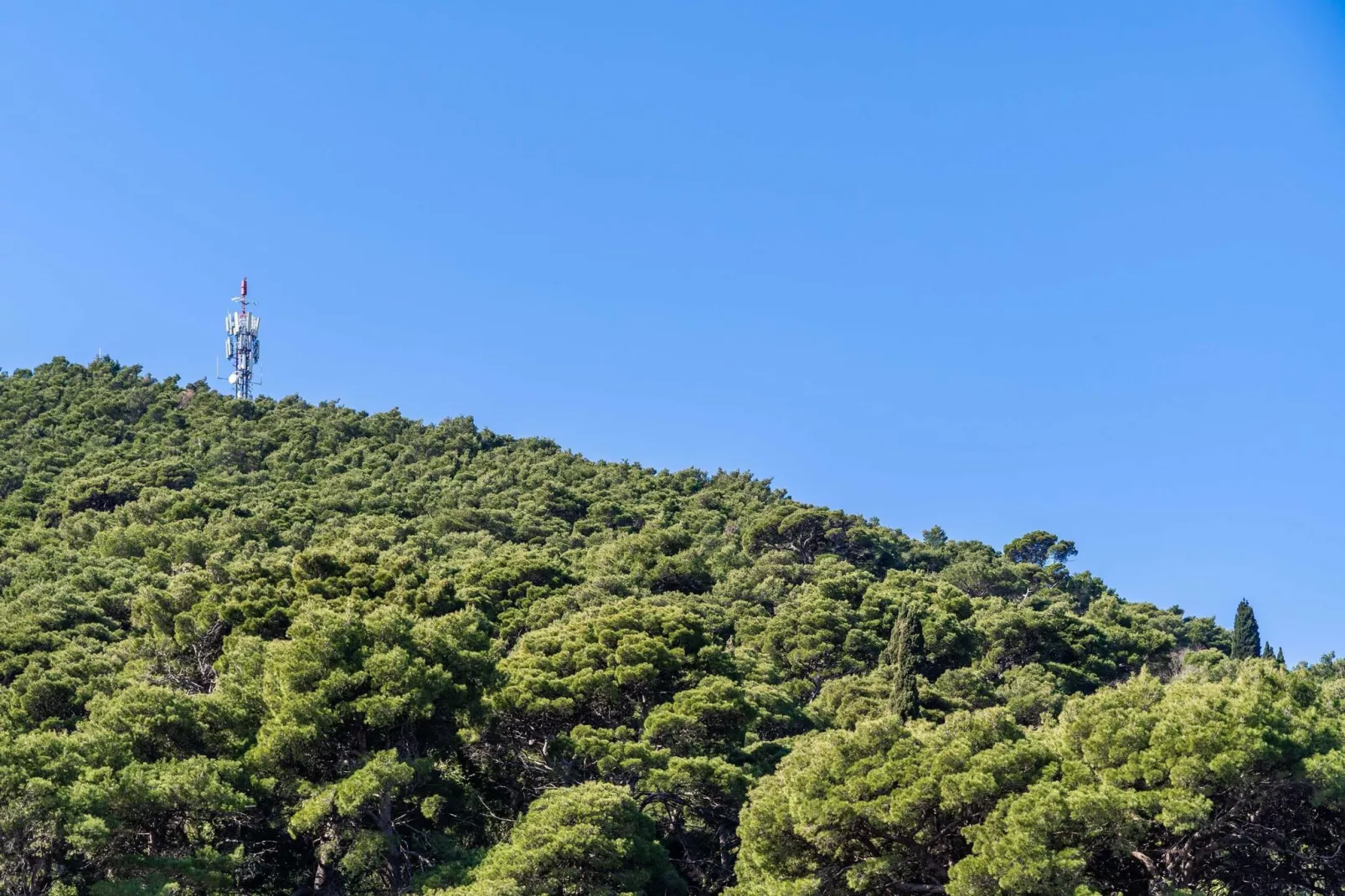 Apartment Dorica - One Bedroom Apartment with Terrace-View