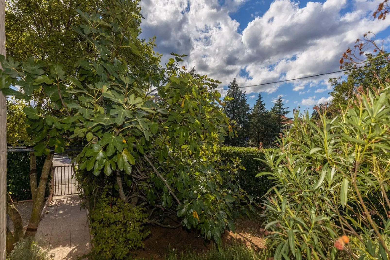 Apartments Ilija Njavro - Studio Apartment (Apartment 2)-Gardens summer