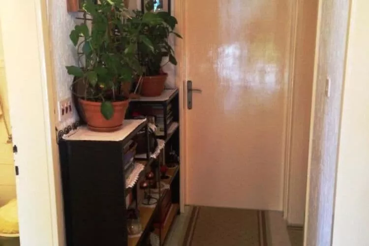 Guest House Ruza -  Double Room with Shared Bathroom-Indoor