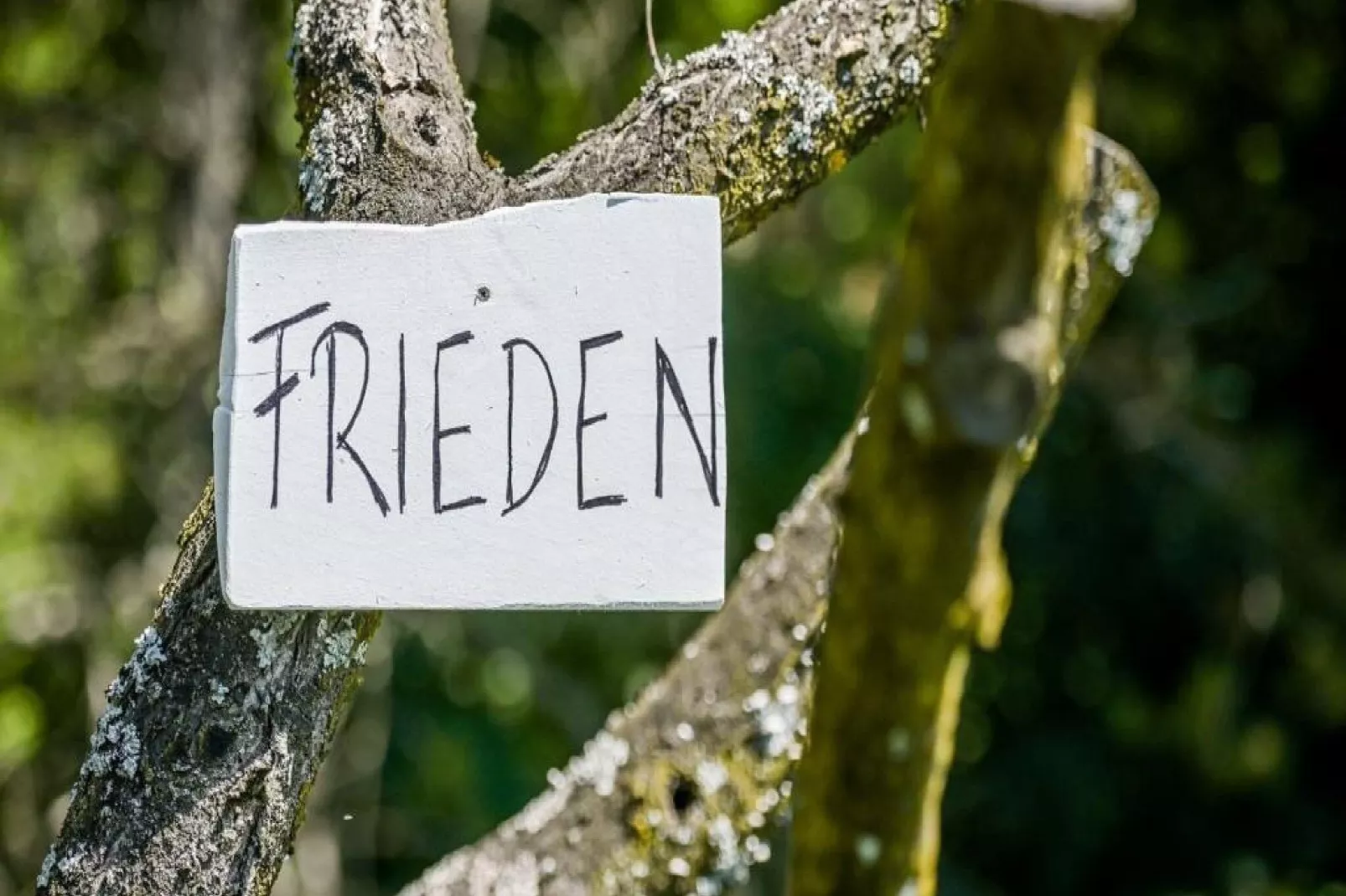 Holiday Home Frieden - Three Bedroom Holiday Home with Swimming Pool-Extérieur
