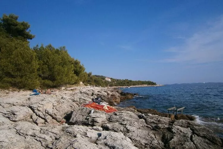 Apartments Sunce - One Bedroom Apartment with Sea View and Terrace (PLAVI)-Atmosphere