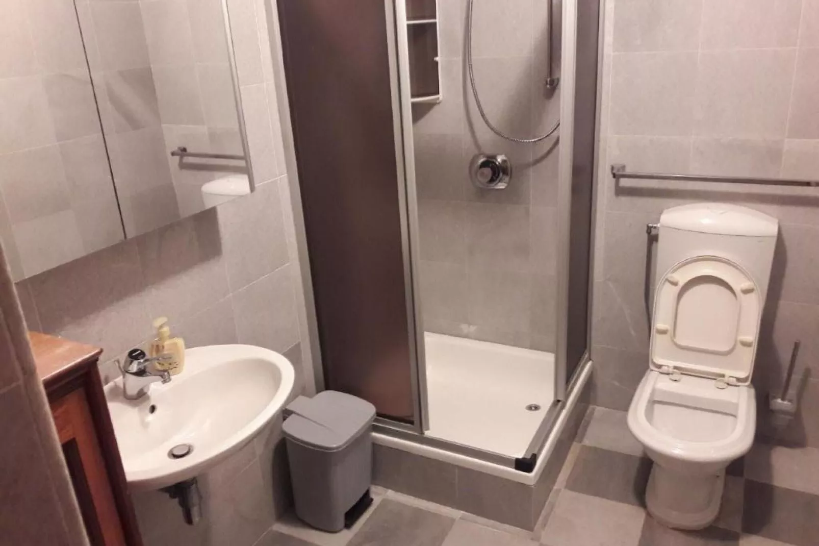 Apartments Kozino - One Bedroom Apartment with Terrace (Apartment 1)-Salle de bain