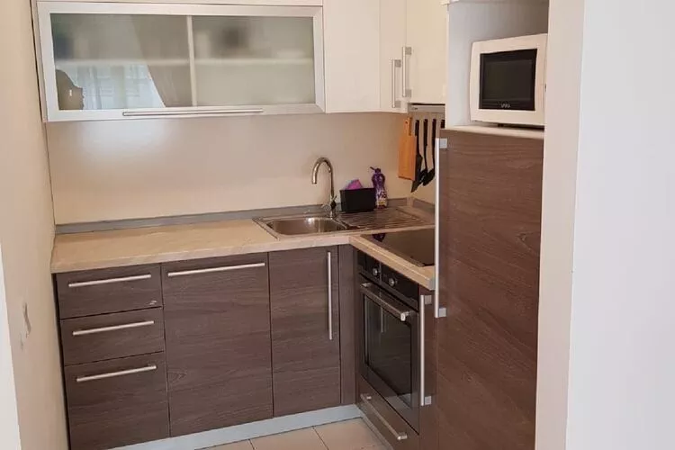 Apartment Aurelia Arena - One Bedroom Apartment-Kitchen