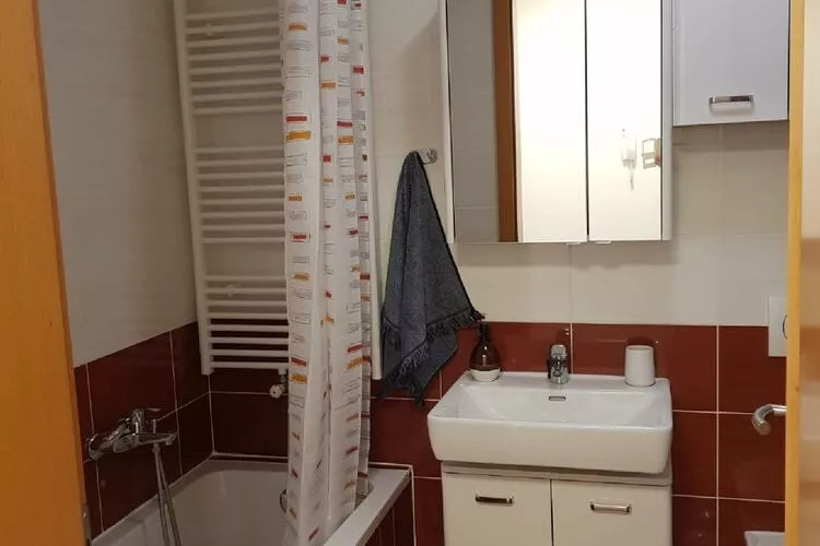 Apartment Aurelia Arena - One Bedroom Apartment-Bathroom