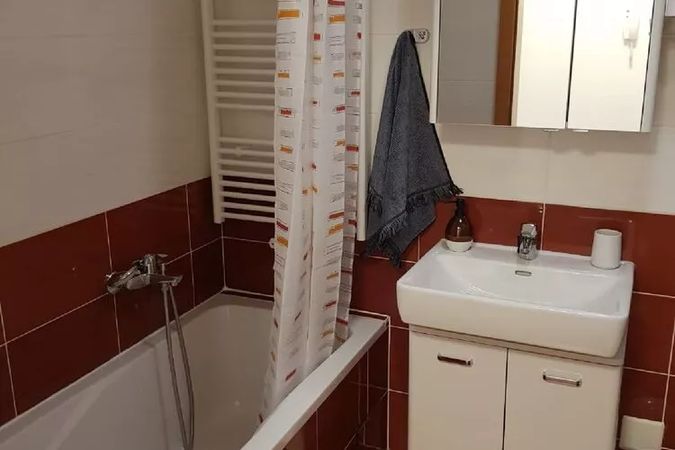 Apartment Aurelia Arena - One Bedroom Apartment-Bathroom
