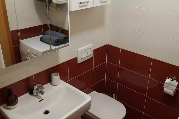 Apartment Aurelia Arena - One Bedroom Apartment-Bathroom