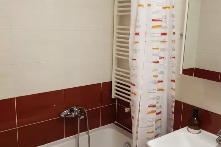 Apartment Aurelia Arena - One Bedroom Apartment-Bathroom
