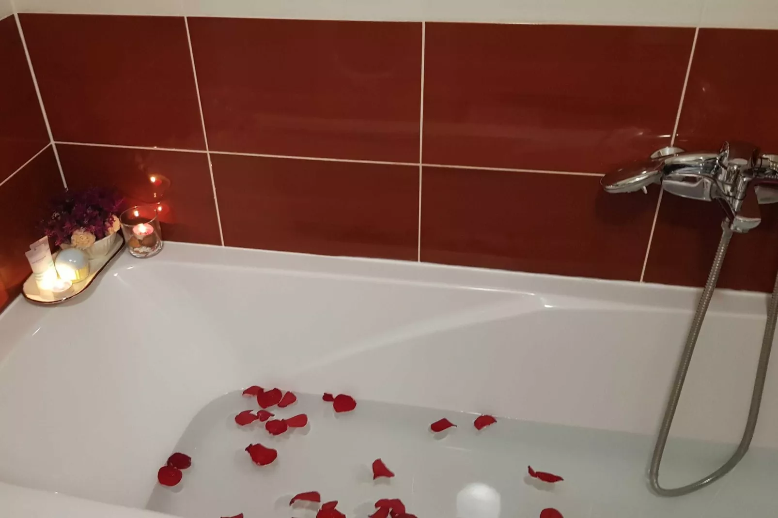 Apartment Aurelia Arena - One Bedroom Apartment-Bathroom