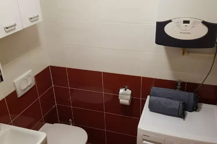 Apartment Aurelia Arena - One Bedroom Apartment-Bathroom