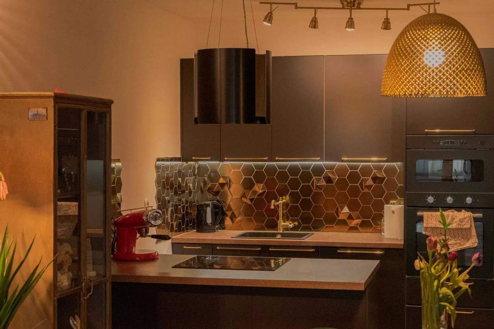 Apartment Leonardo - One Bedroom Apartment with Balcony-Kitchen