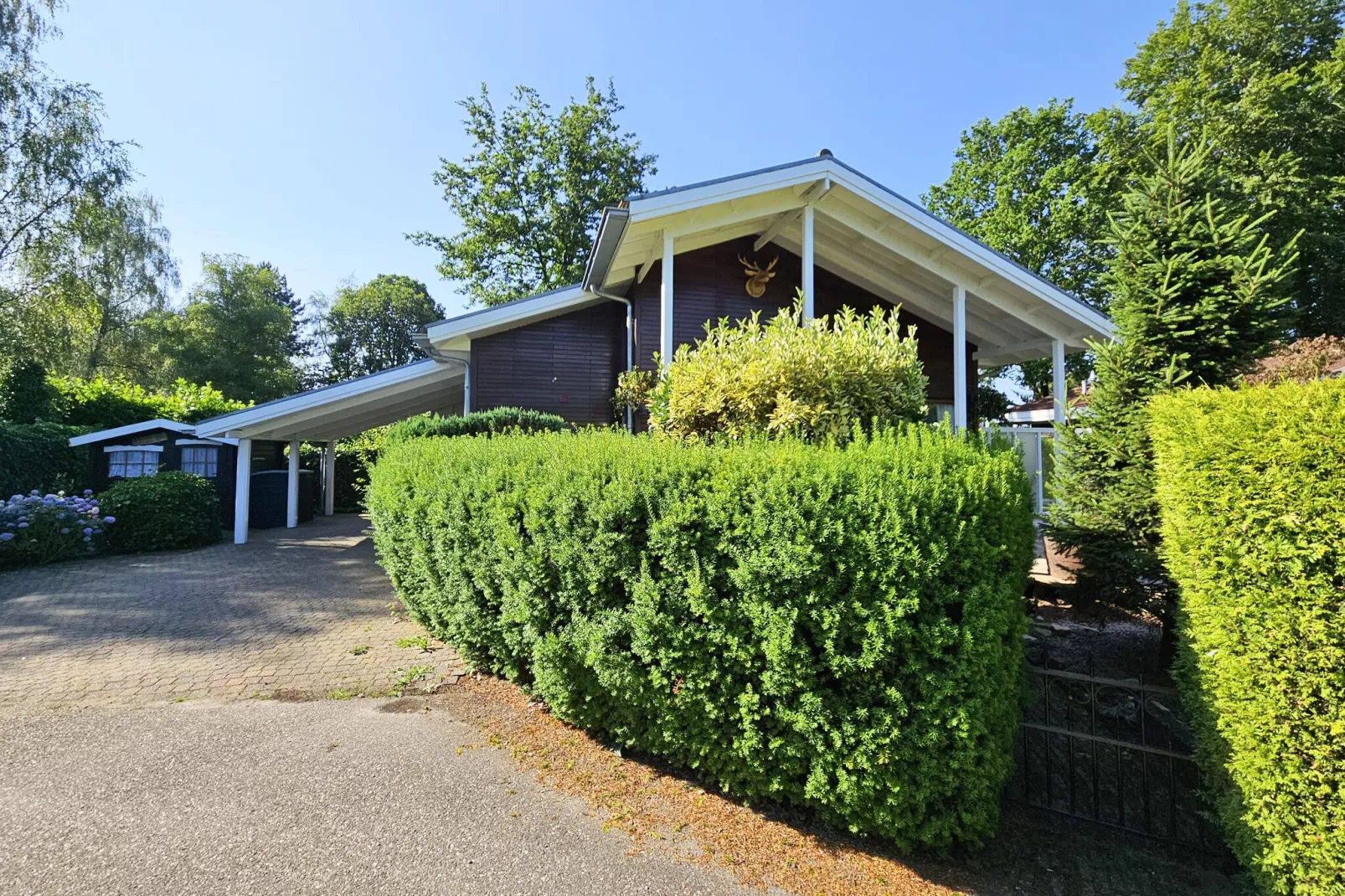 Chalet Kieftveen Voorthuizen II 4 pax -817-Exterior summer