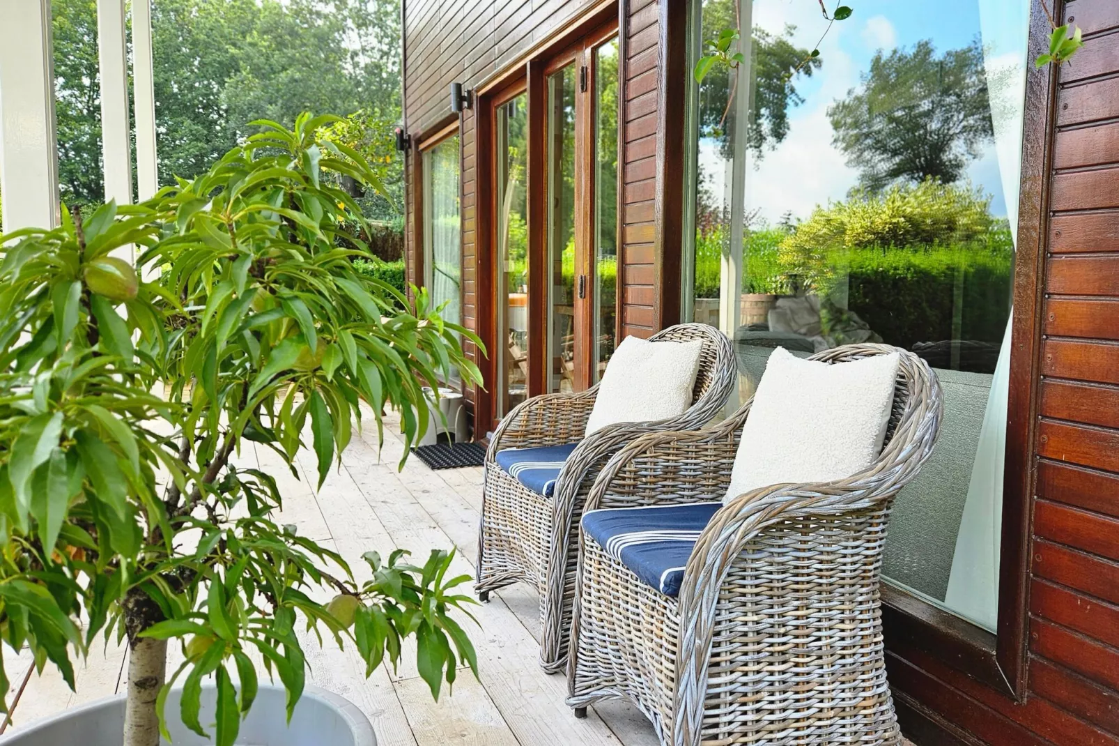 Chalet Kieftveen Voorthuizen II 4 pax -817-Terrace balcony