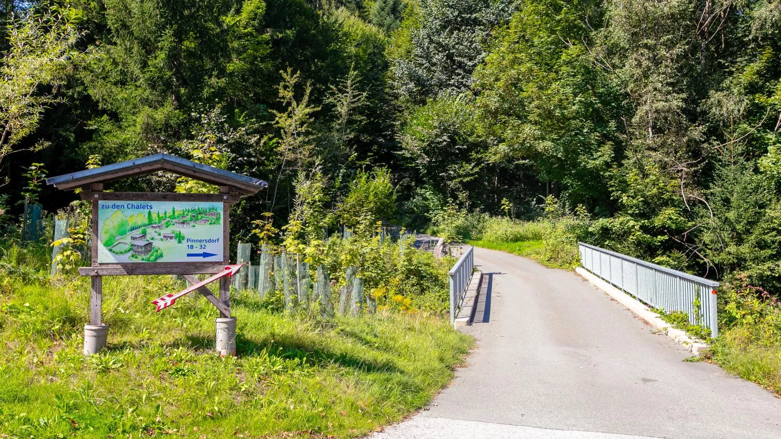 Im Brixenthal I-Gebiete Sommer 1 km
