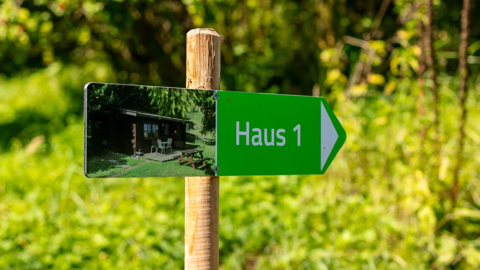 Im Brixenthal I-Gebiete Sommer 1 km