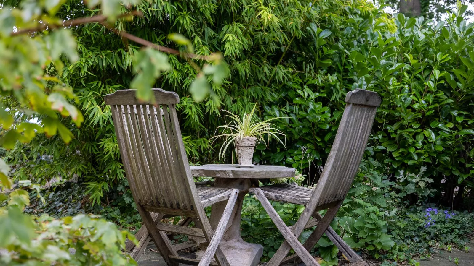 Cosy Bergen-Gardens summer