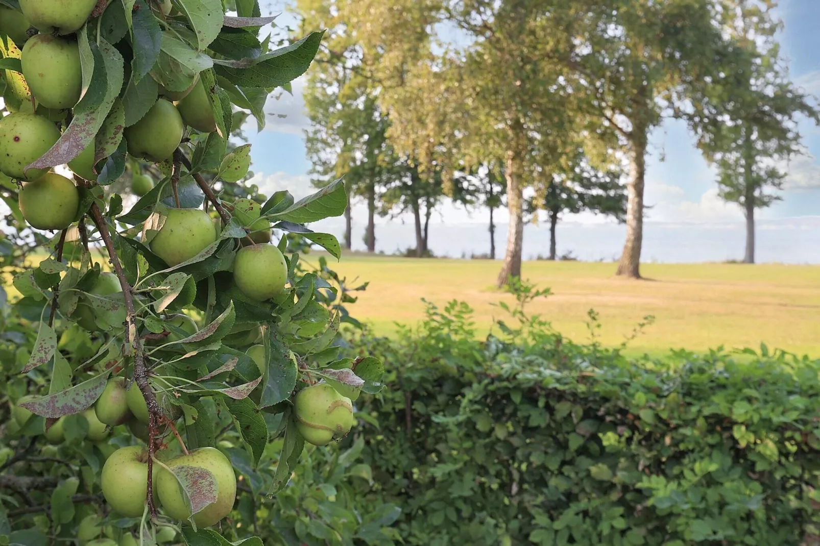 5 person holiday home in Stubbekøbing-By Traum-Water view