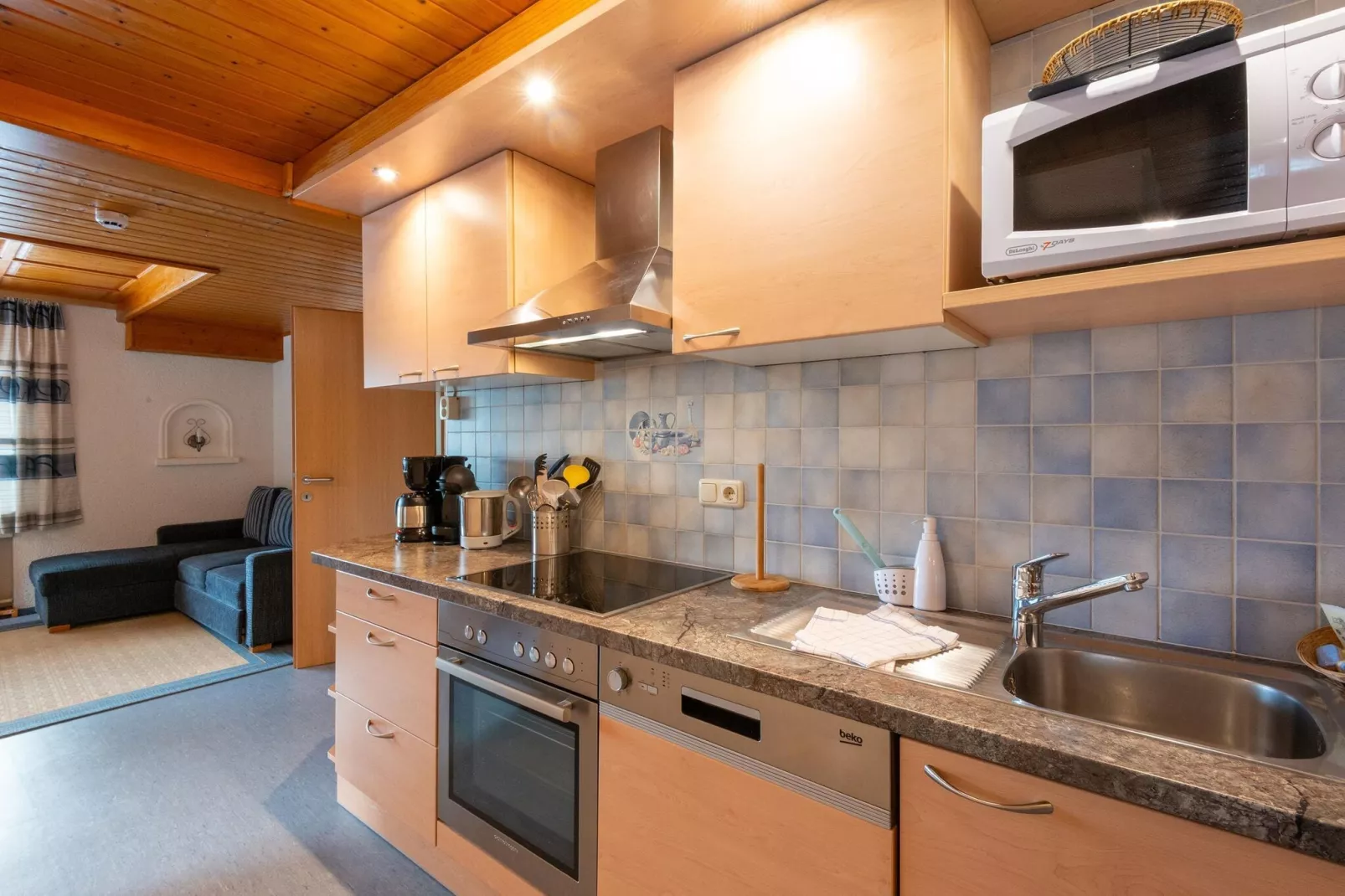 Apartment 3-5/1-Küche