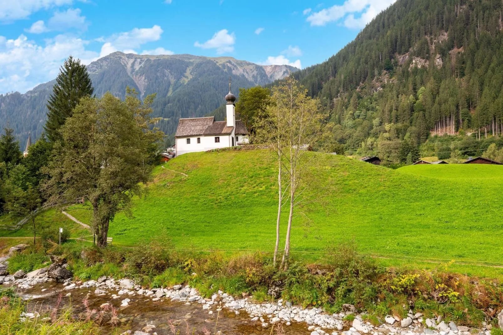 Apartment 3-5/1-Gebiete Sommer 5 km