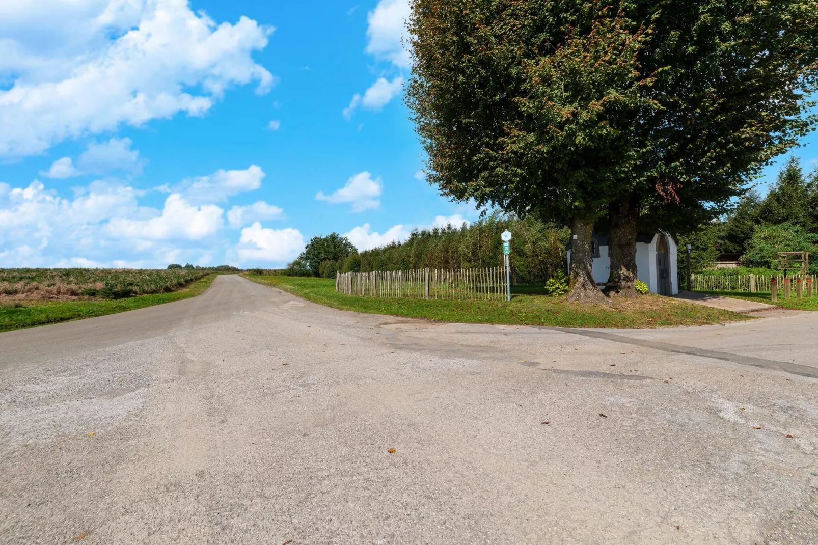 Yameta Down-Areas summer 5km