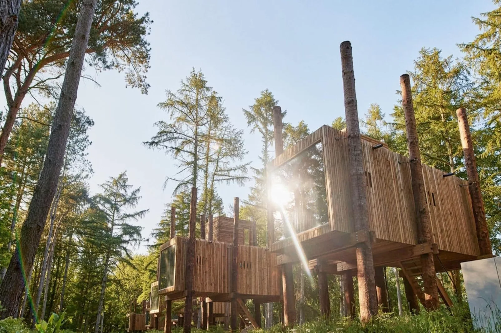 The TreeLoft by YourNature-Exterior summer