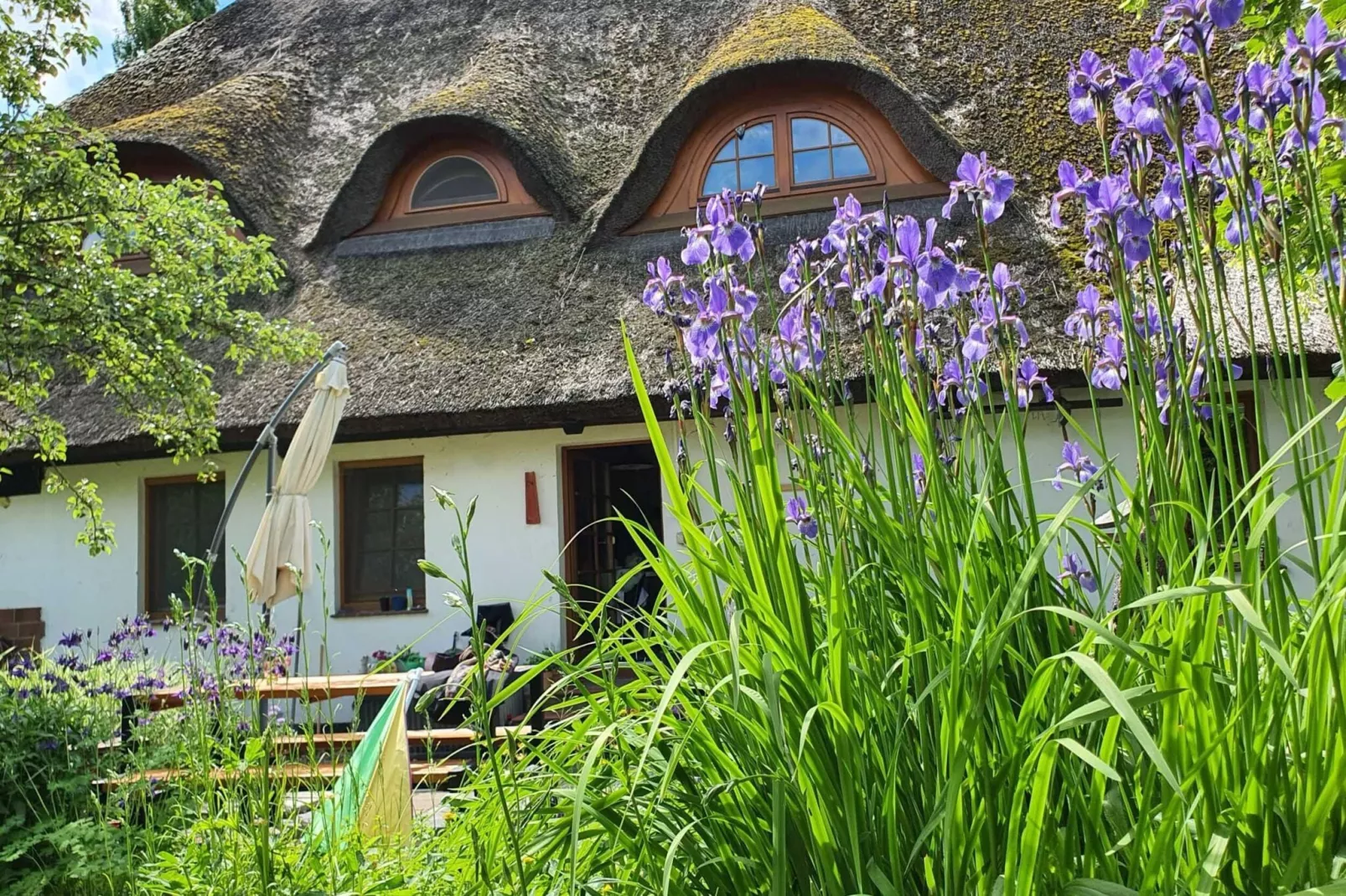 Schoene Wohnung im reetgedachten Bauernhaus-Gärten Sommer