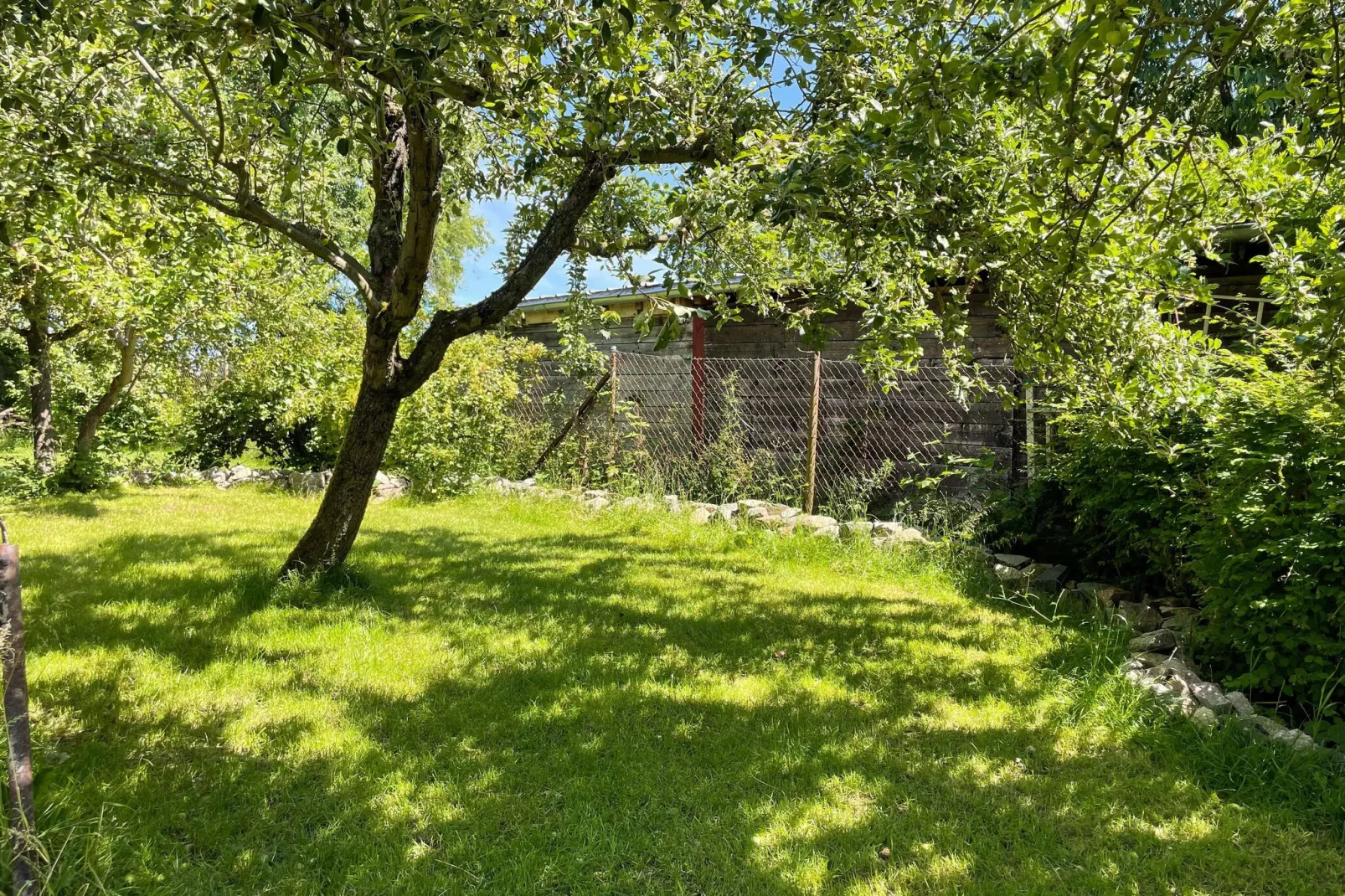 Schoene Wohnung im reetgedachten Bauernhaus-Gärten Sommer