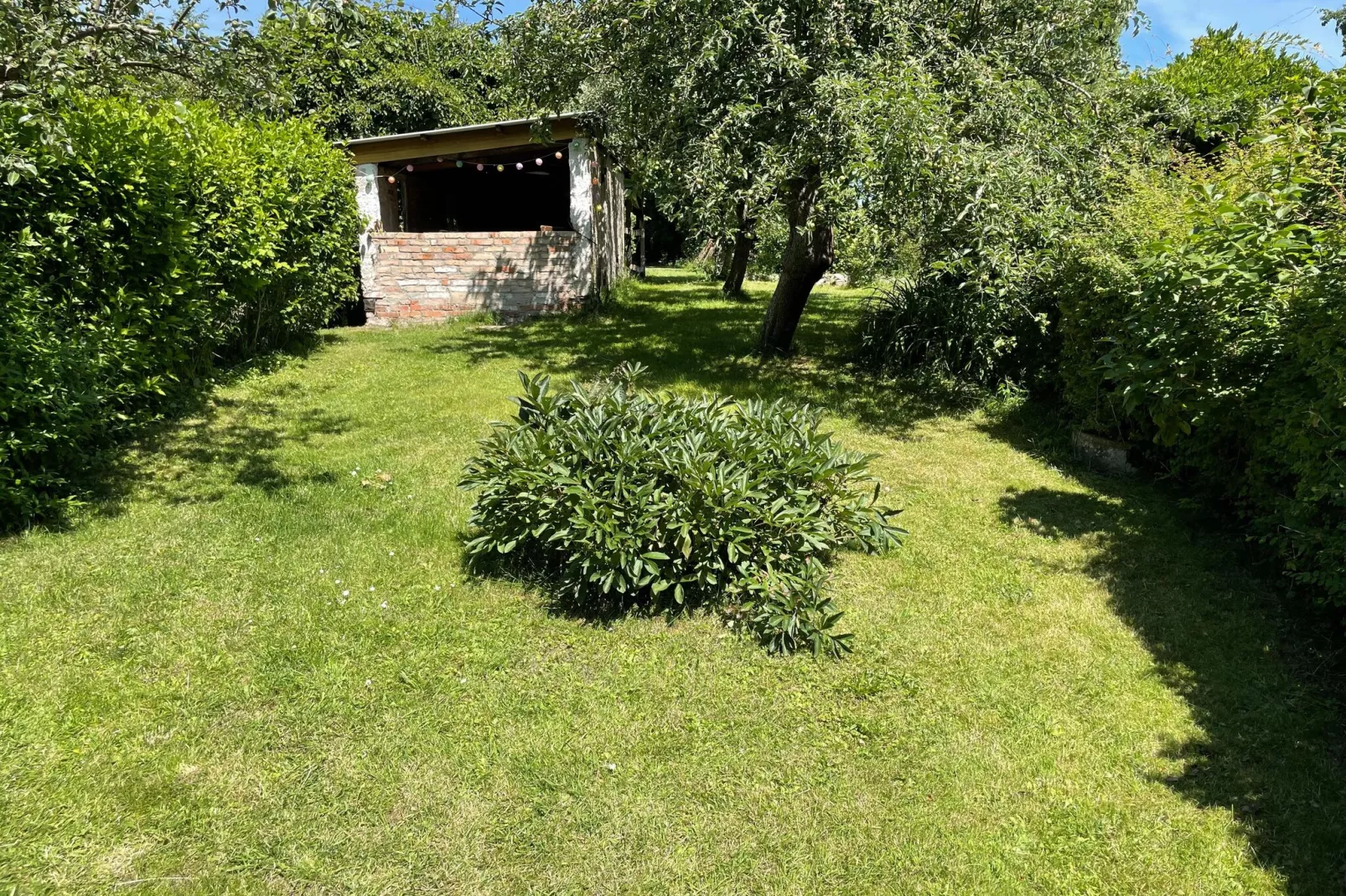 Schoene Wohnung im reetgedachten Bauernhaus-Gärten Sommer