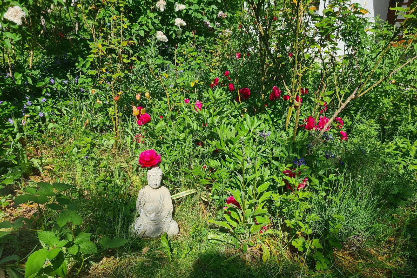 Schöne Wohnung im reetgedachten Bauernhaus-Jardin d'été