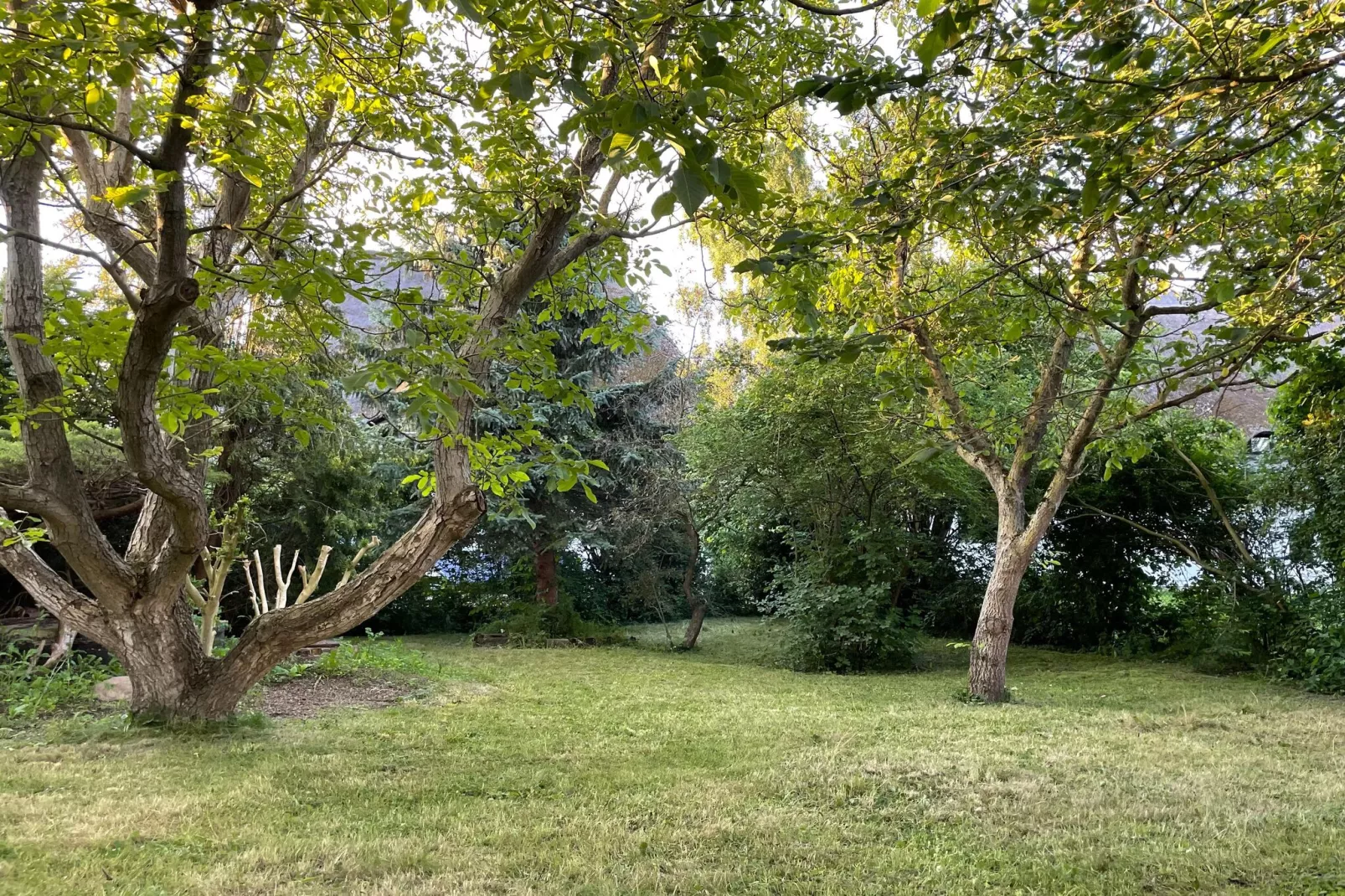 Schöne Wohnung im reetgedachten Bauernhaus-Jardin d'été