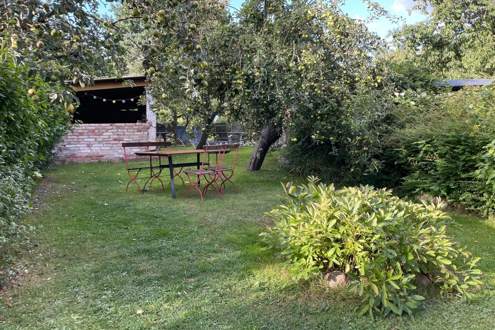 Schöne Wohnung im reetgedachten Bauernhaus-Jardin d'été